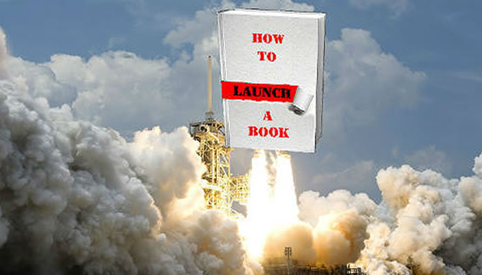If You Want To Make N10m Tomorrow Write A Book And Launch It